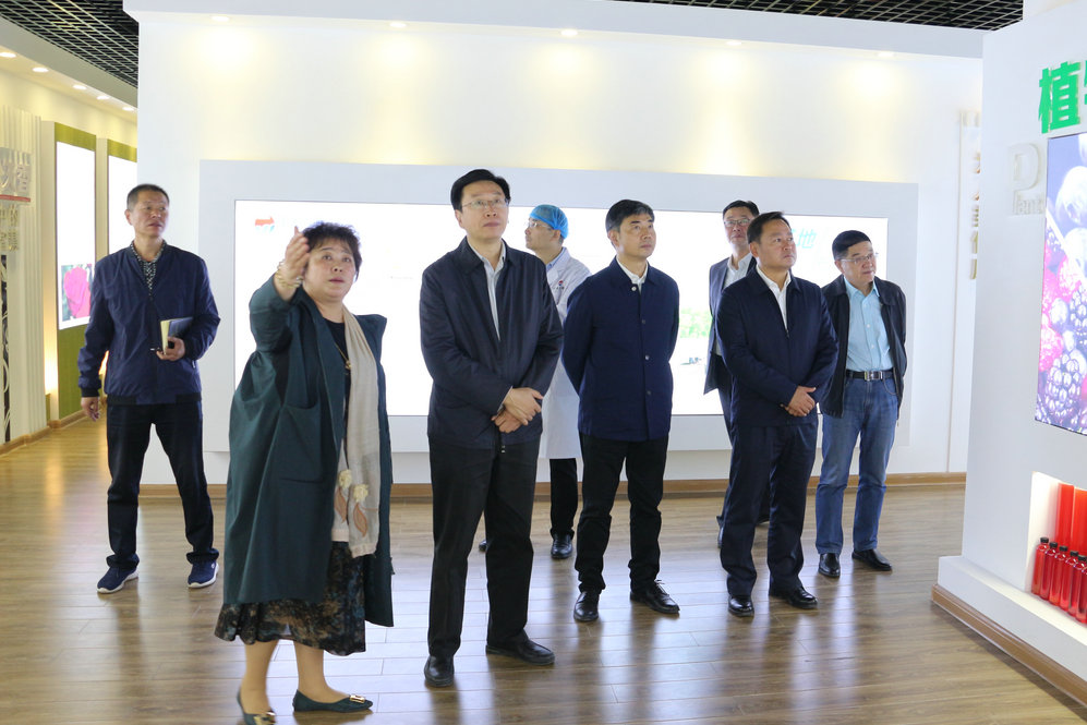 2020年11月2日省政府食安辦副主任，省市場(chǎng)監(jiān)督管理局副局長(zhǎng)王建防到公司調(diào)研指導(dǎo)工作.JPG
